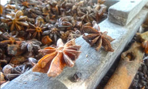 Star Anise Processing
