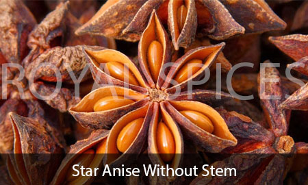 Star Anise Without Stem